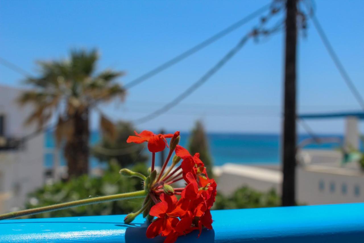 Sea View Apartments & Studios Agia Anna  Esterno foto