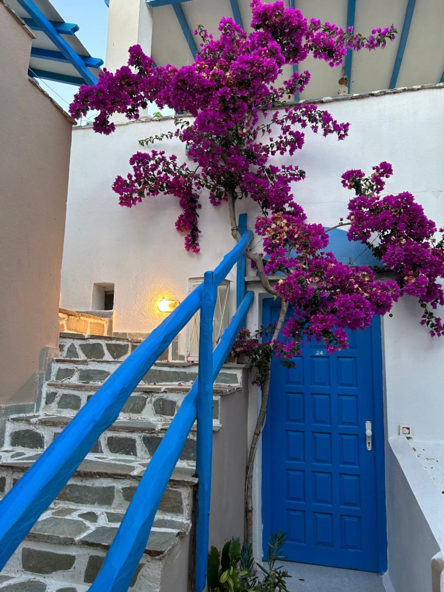Sea View Apartments & Studios Agia Anna  Esterno foto